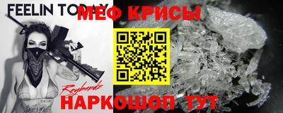 индика Кингисепп