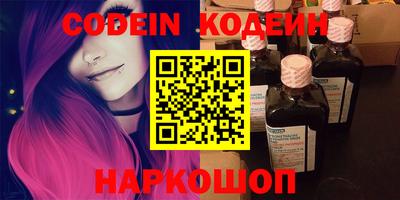 индика Кингисепп